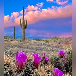 Meet your Posher, Meghan